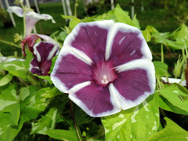 DSCN7094_01
