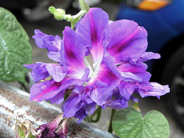 DSCN7108