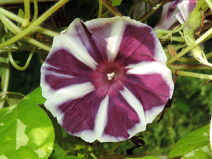 DSCN7160_01