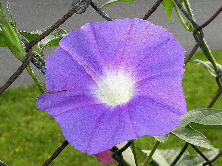 DSCN7193