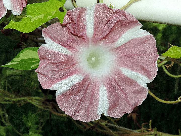 DSCN7218_01