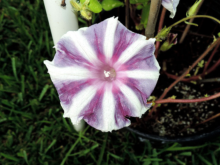 DSCN7224_01