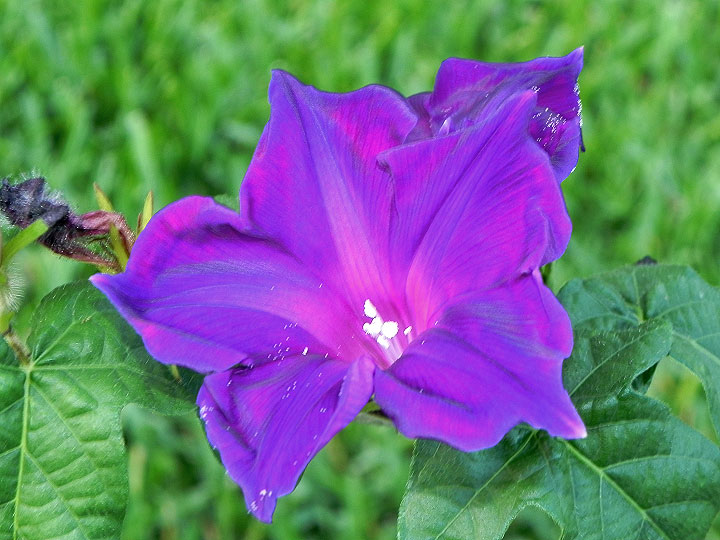 DSCN7237