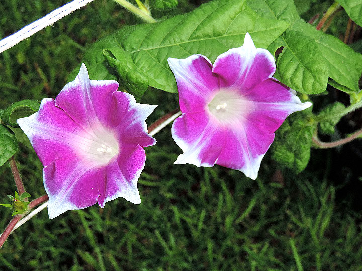 DSCN7253_01
