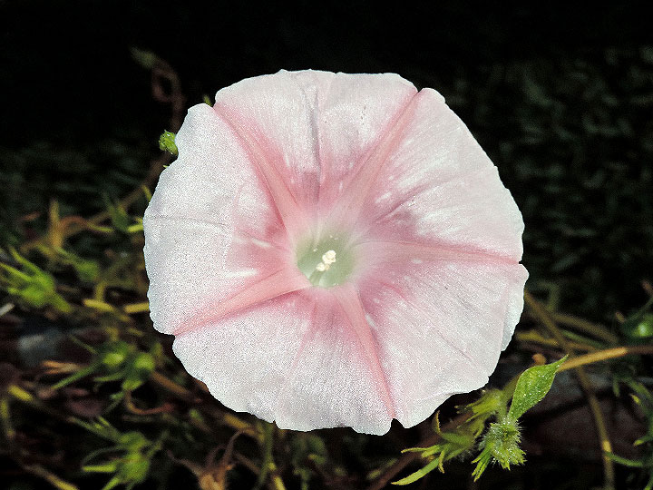 DSCN7263_01