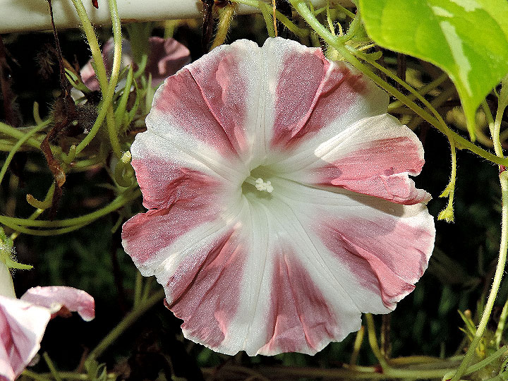DSCN7270_01