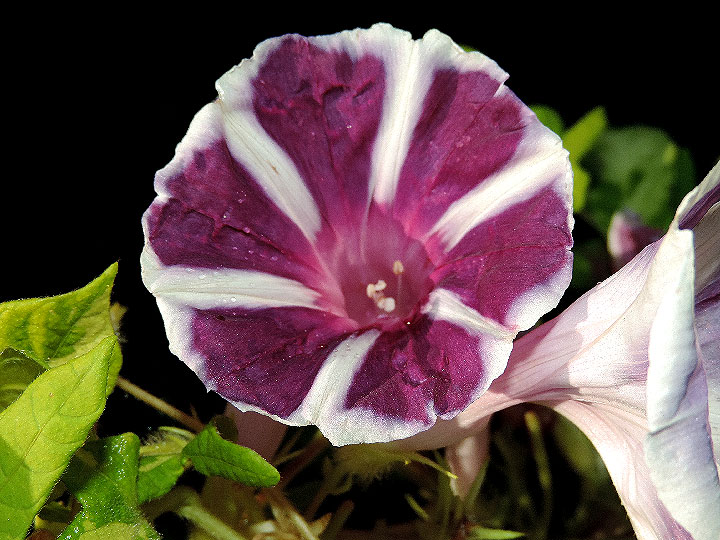 DSCN7273_01