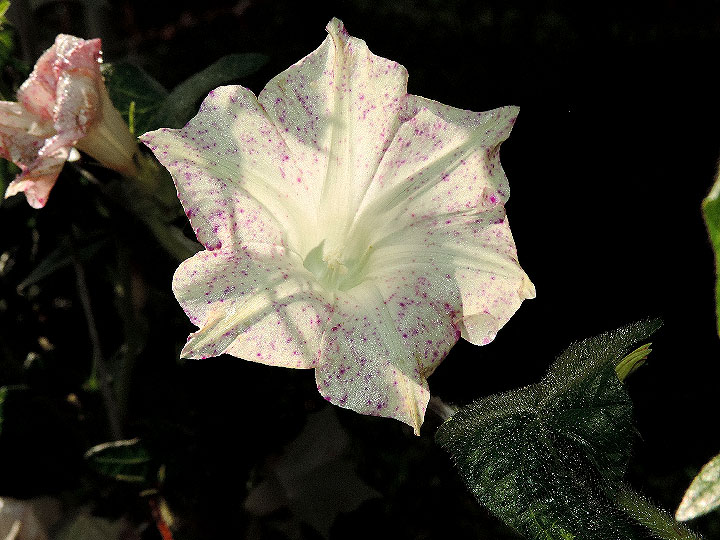 DSCN7282_01