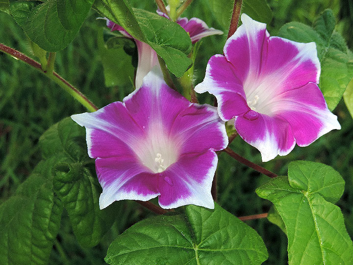 DSCN7299_01