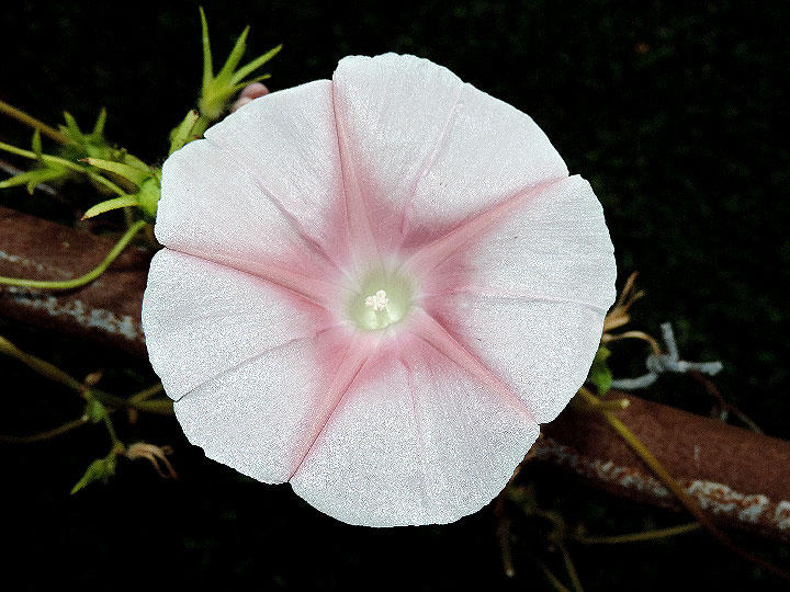 DSCN7322