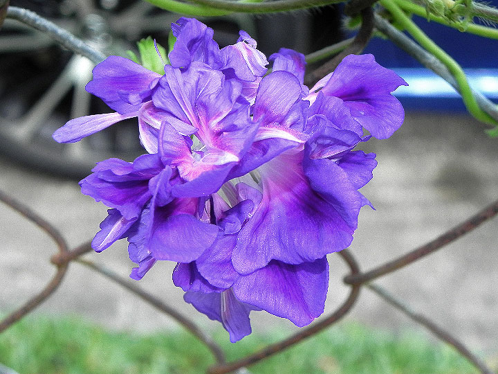 DSCN7331