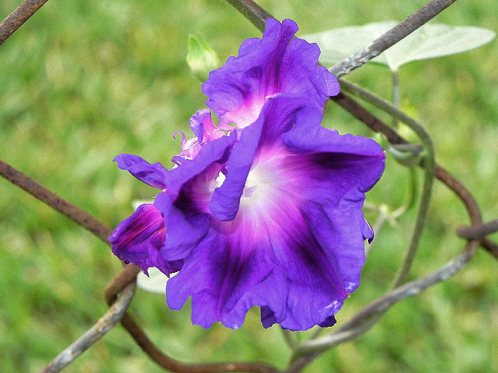 DSCN7407