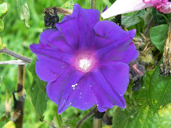 DSCN7448