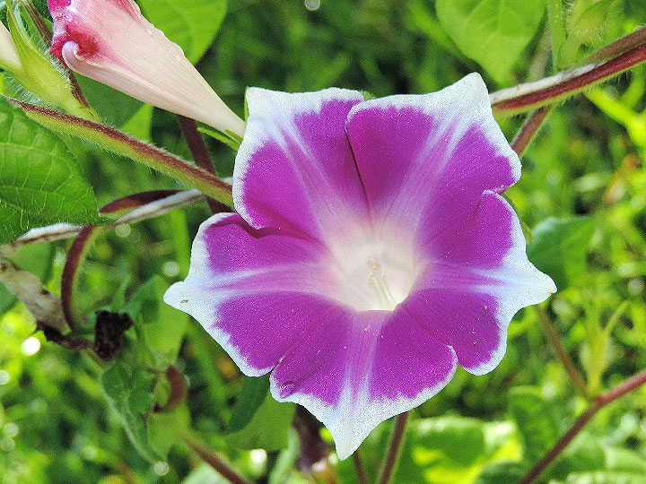 DSCN7480