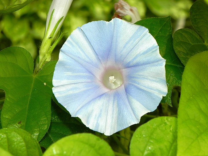 DSCN7926