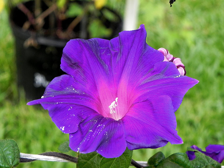 DSCN8063
