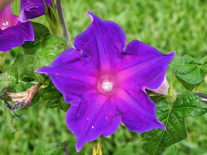 DSCN8064_01