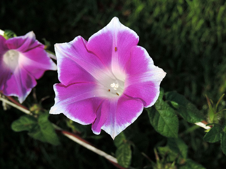 DSCN8152