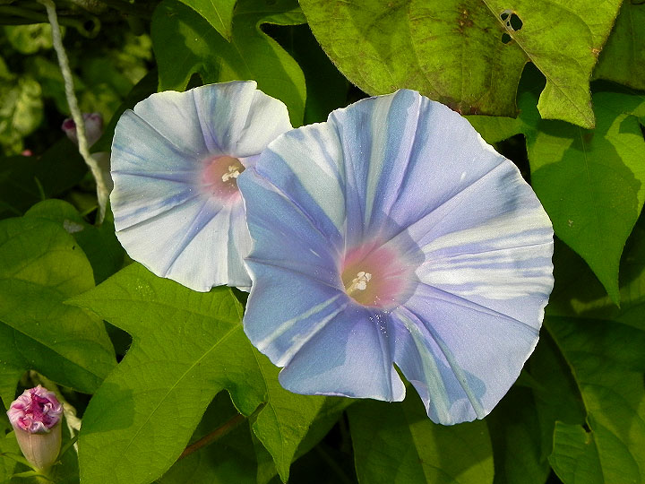 DSCN8156