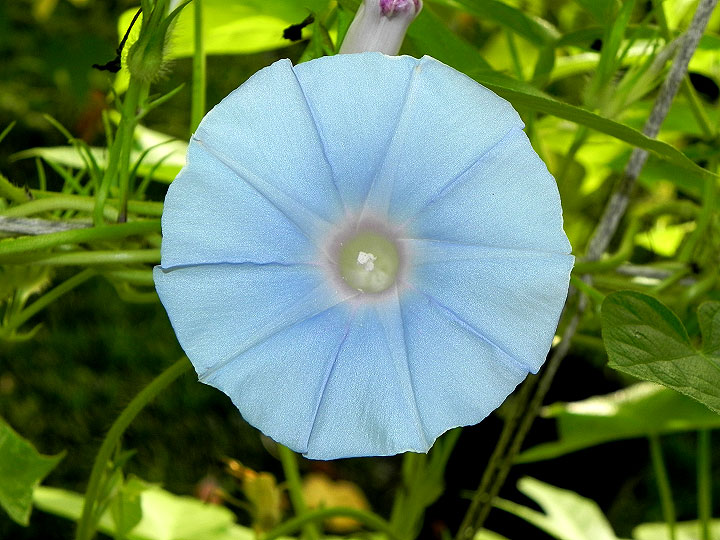 DSCN8160