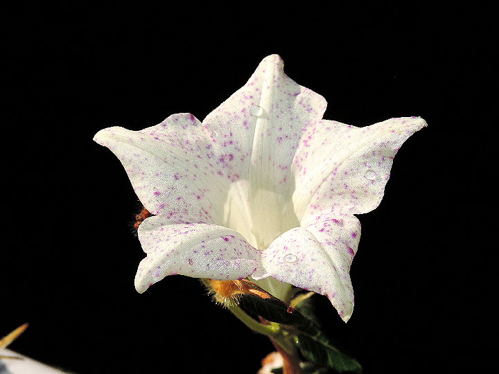 DSCN8172