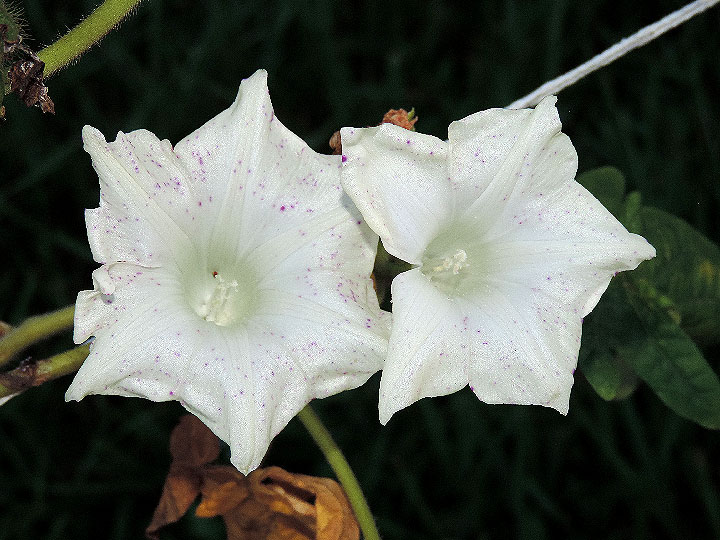 DSCN8301_01