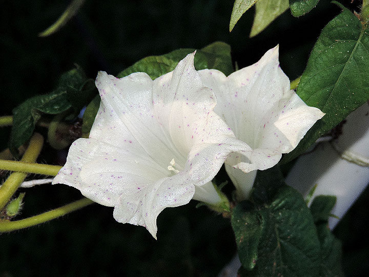 DSCN8302_01