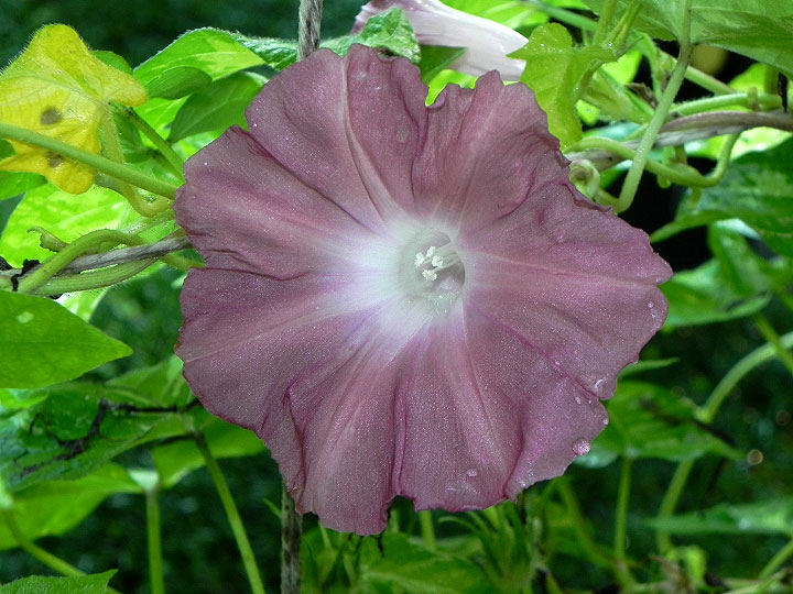 DSCN8473