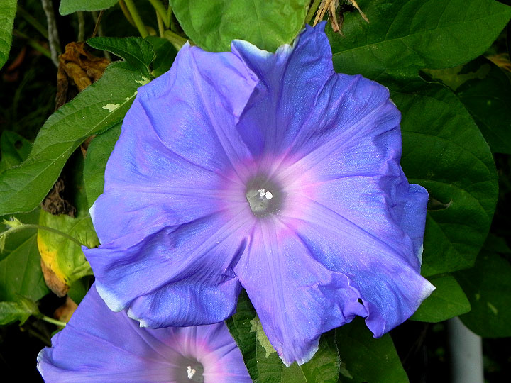 DSCN8944