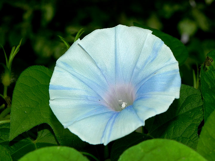 DSCN9163