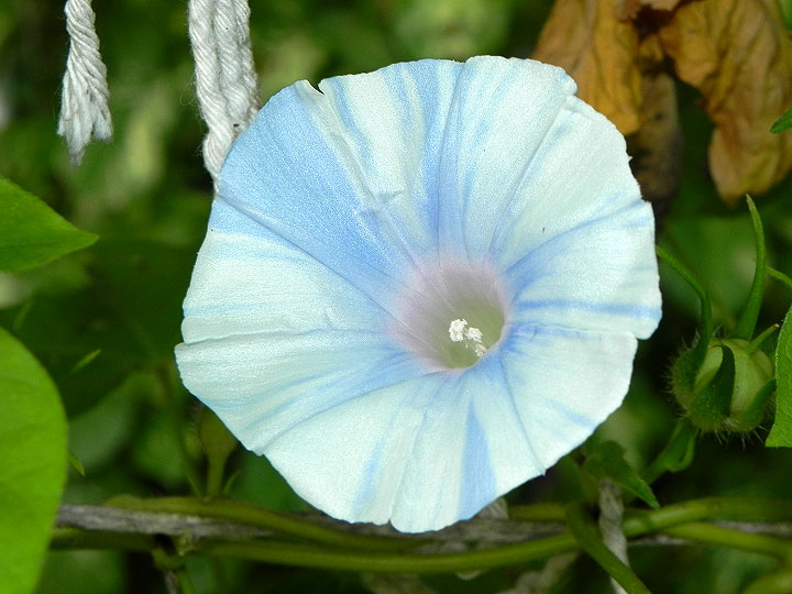 DSCN9361