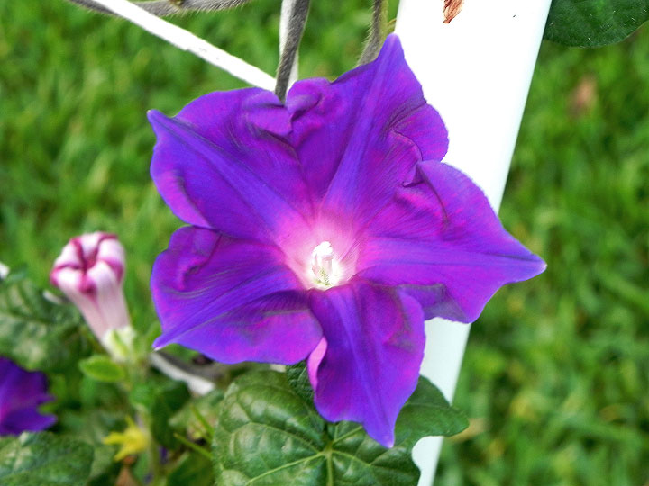DSCN9446