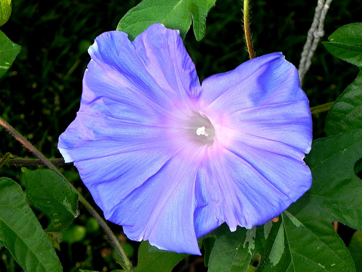 DSCN9483