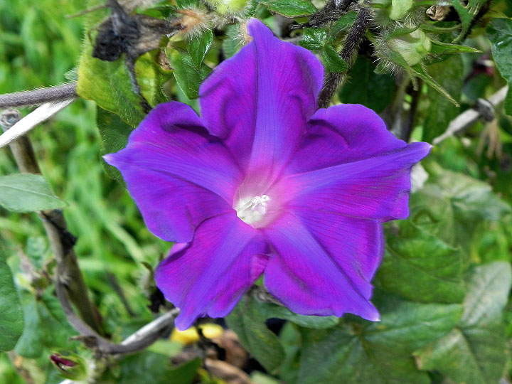 DSCN9568