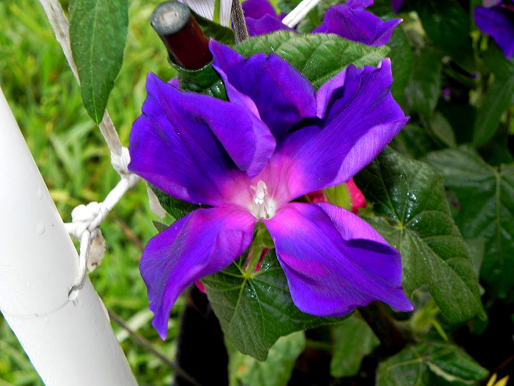 DSCN9659