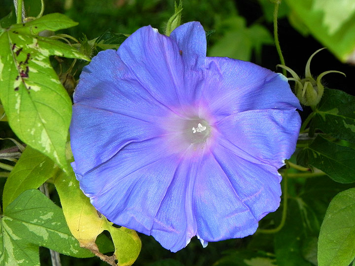 DSCN9903