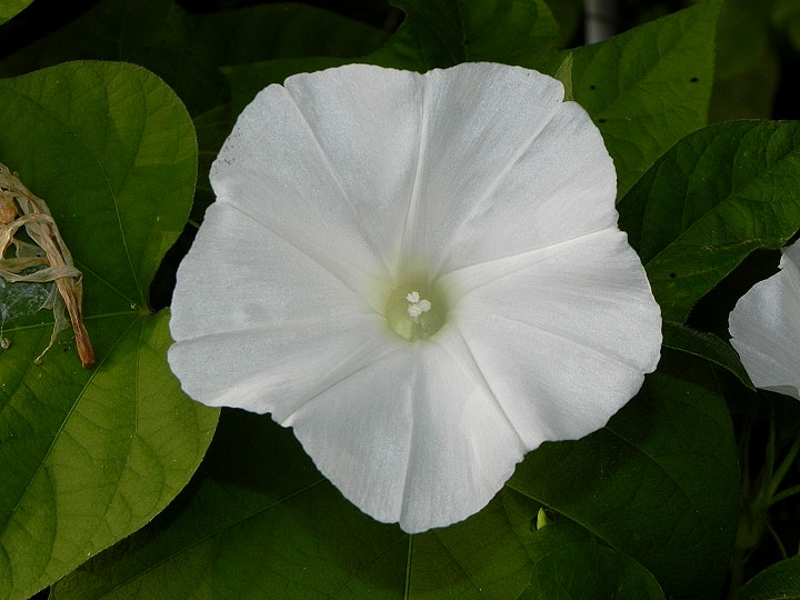 DSCN1739