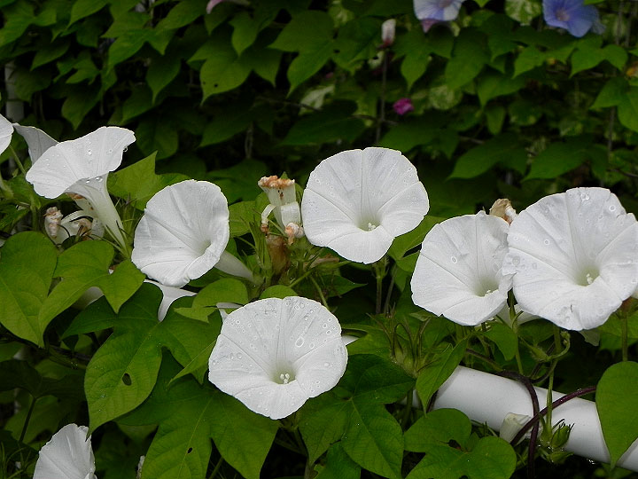 DSCN3952_01