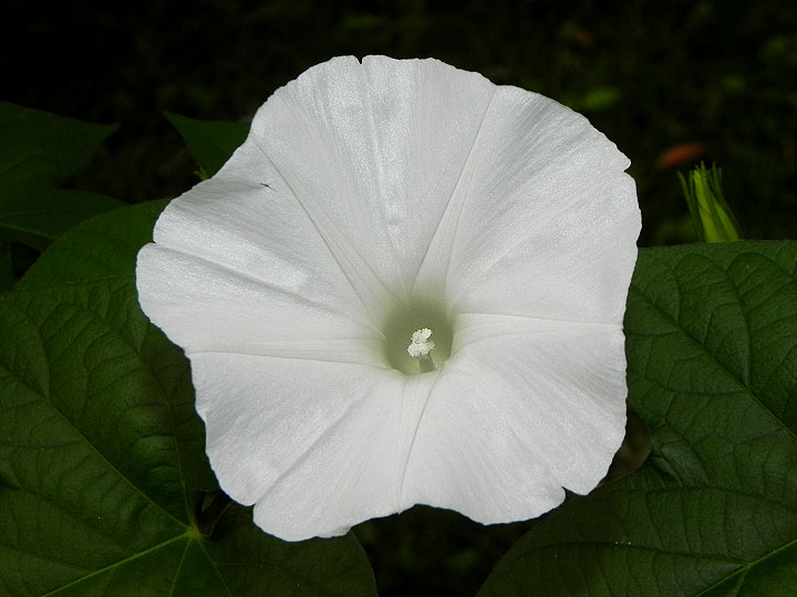 DSCN9333