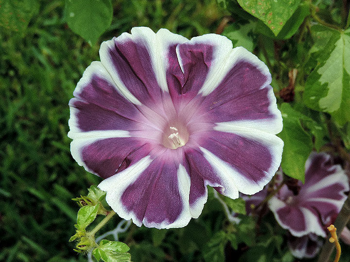 1DSCN3583