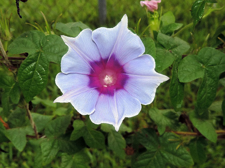 1DSCN9788