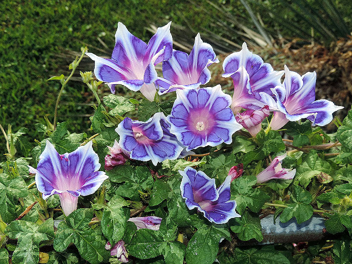 3DSCN0064
