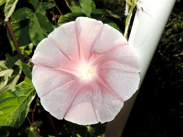 3DSCN0655