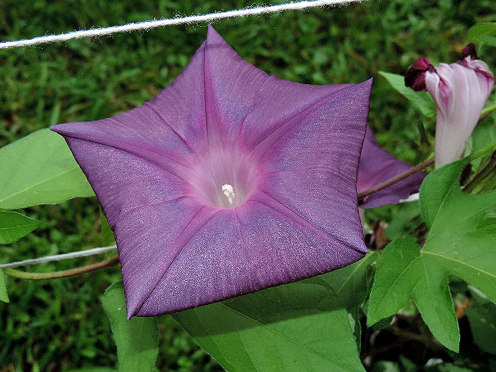 3DSCN1160