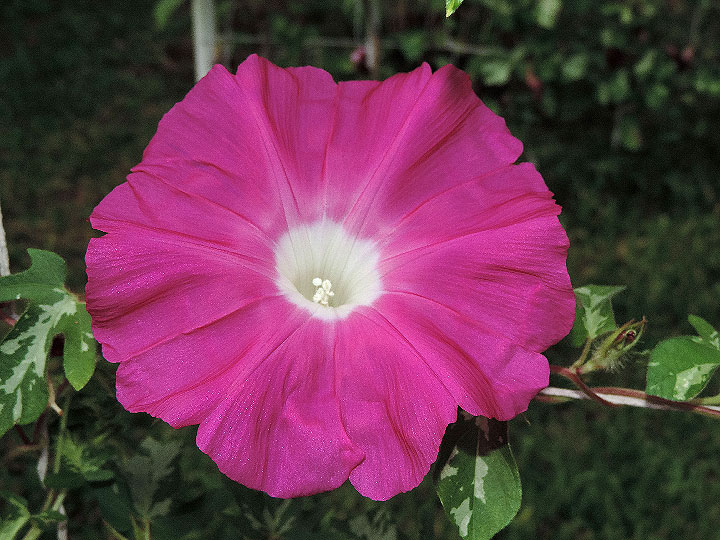 3DSCN3842