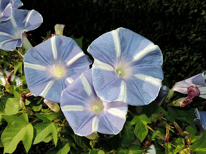 3DSCN8704
