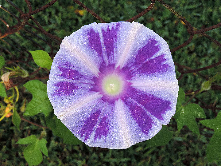 4DSCN0060