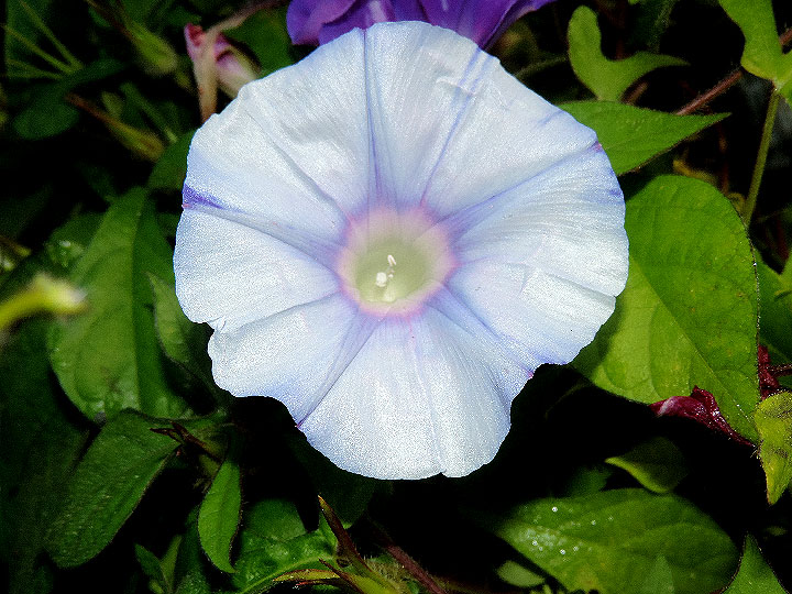 4DSCN0067