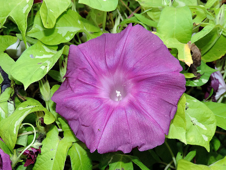 4DSCN0950
