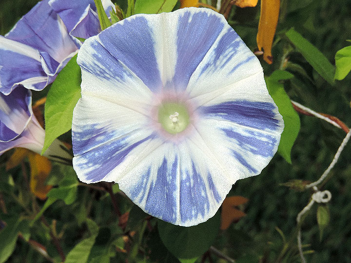 4DSCN5346